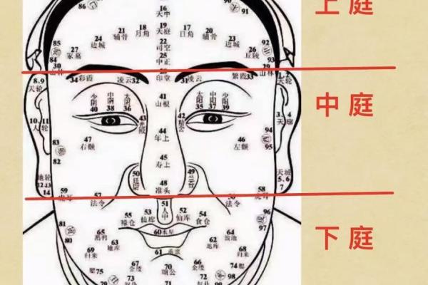 面相风水解析:嘴巴形态与性格的关联 面相风水解析:嘴巴形态与性格的关联