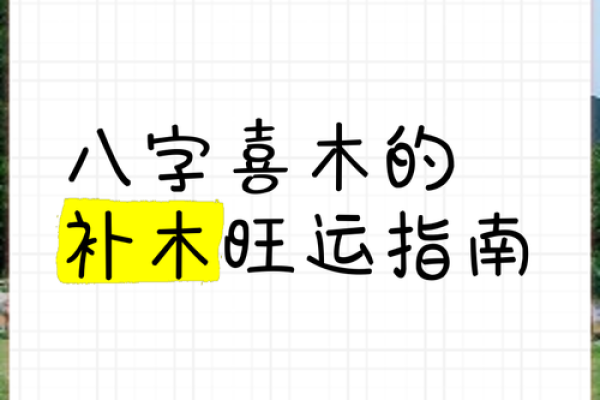 命理分析:八字偏弱喜木,怎样调整才能转运 命理分析:八字偏弱喜木,怎样调整才能转运