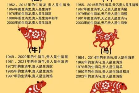 羊年属兔每月运程预测与分析