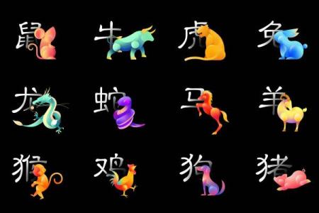 十二属相运程全解析
