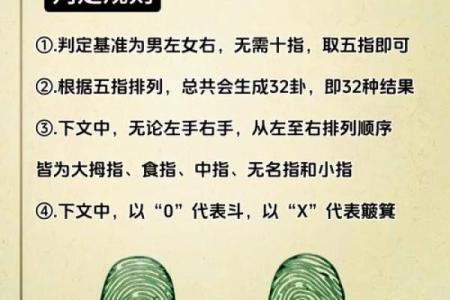 纸簸萁的命运象征与文化意义解析
