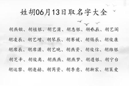 姓胡宝宝起名指南：选对名字让未来更美好