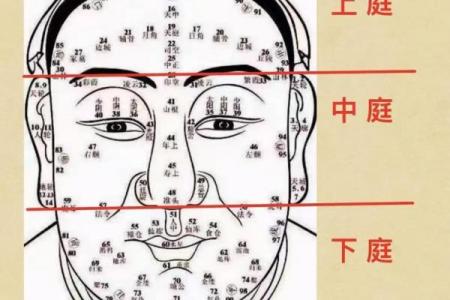 面相风水解析：嘴巴形态与性格的关联