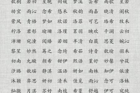 起名字典：帮助你为孩子选择合适名字的最佳工具