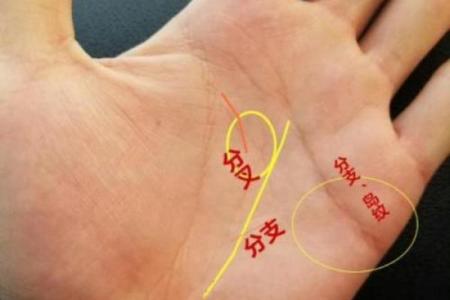 牛男在本命年遇到感情波动怎么办