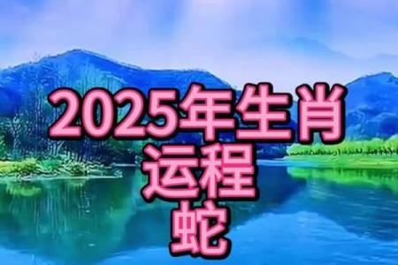 属蛇人在本命年如何化解健康危机