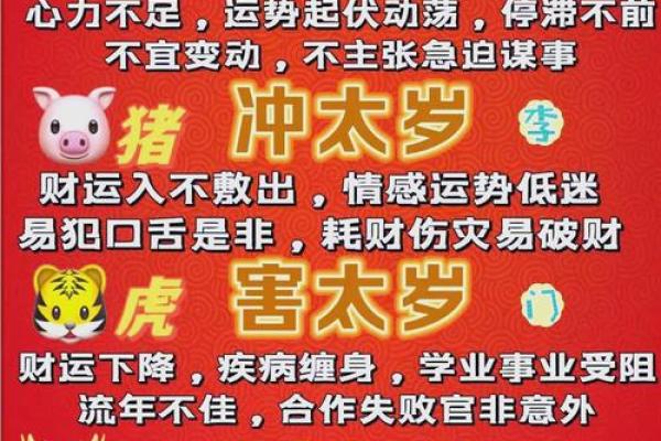 属蛇运势:感情与事业的平衡之道 属蛇运势:感情与事业的平衡之道