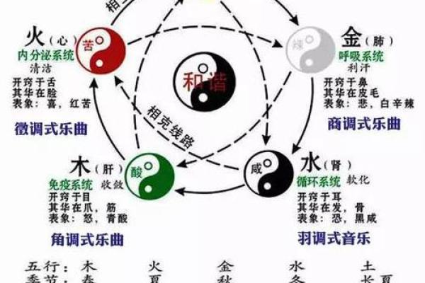 解密五行与思维的关系行中属于什么? 解密五行与思维的关系行中属于什么?