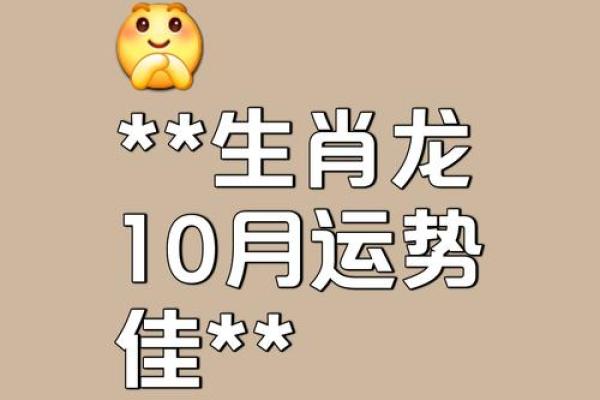 龙人生肖运程详解