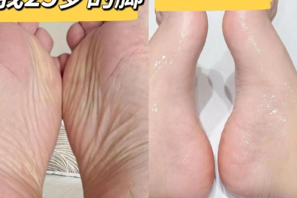 了解脚趾的名称及其功能，帮助你更好地护理双脚