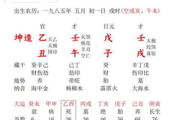 戊子命的含义与命理解析 戊子命的含义与命理解析