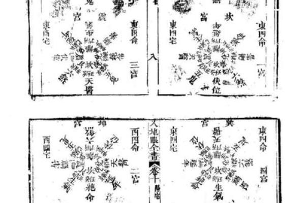 震命与东四命的深度解析及其命理影响 震命与东四命的深度解析及其命理影响