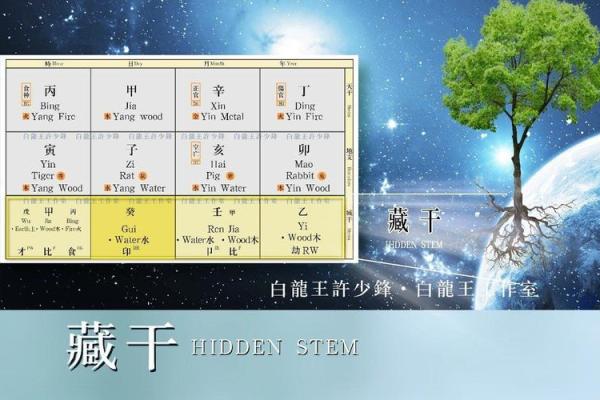 八字通根解析:如何通过根气提升命运运势 八字通根解析:如何通过根气提升命运运势