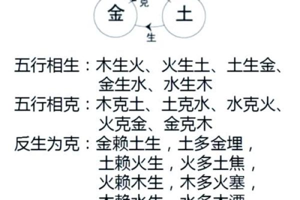 八字通根解析:如何通过根气提升命运运势 八字通根解析:如何通过根气提升命运运势