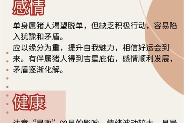 属猪人的幸运与挑战：全面运程解析