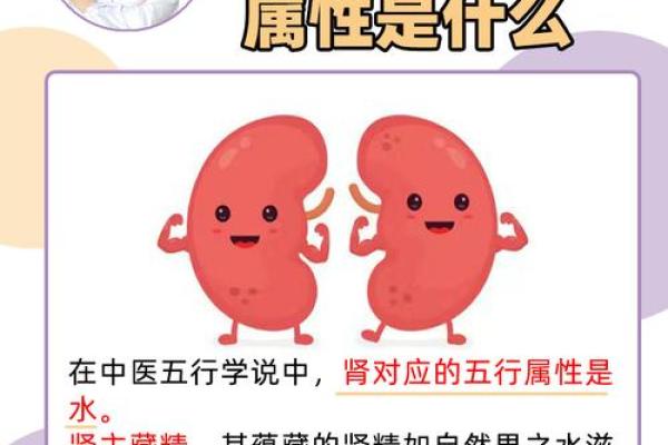 体形与五行的关系揭秘:如何通过体型了解自身五行属性 体形与五行的关系揭秘:如何通过体型了解自身五行属性