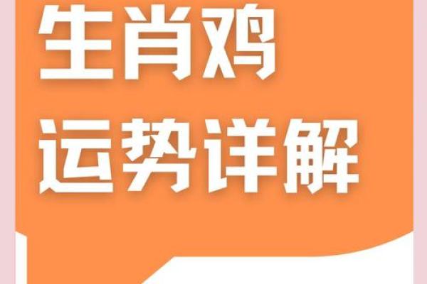 属鸡人士的全年运势解析