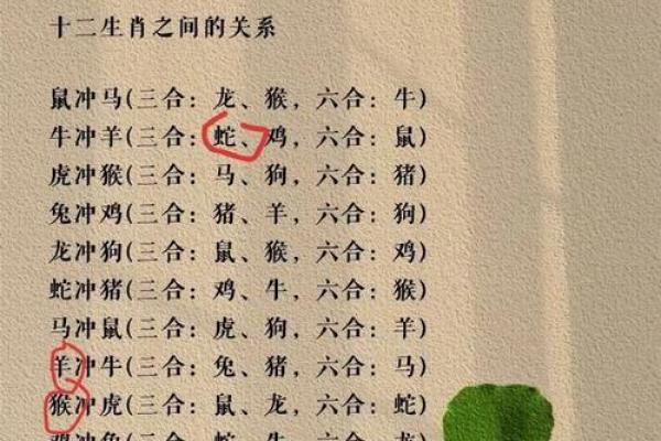 猴男猪女婚配的优缺点全面解读 猴男猪女婚配的优缺点全面解读