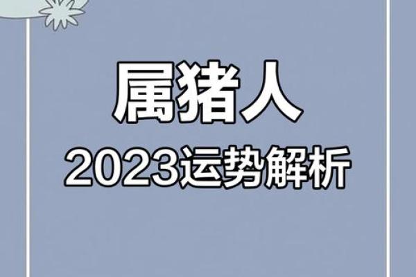猪年运势大揭秘：如何在事业与感情中取得平衡