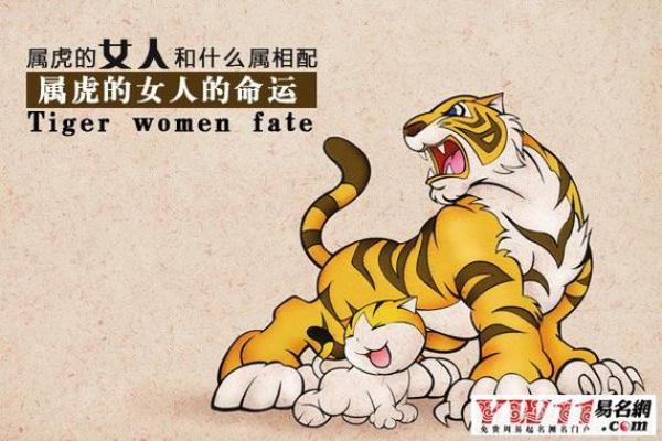 属虎男与属龙女的婚姻运势:两者合适吗? 属虎男与属龙女的婚姻运势:两者合适吗?