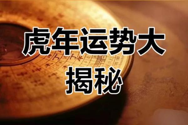属虎运势全解析：财运、事业与感情的变化趋势