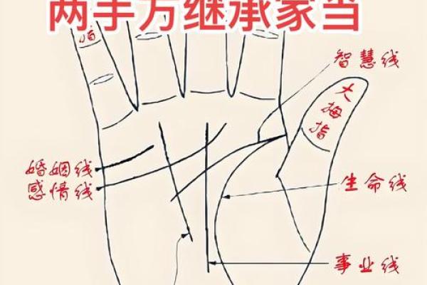 揭开易经奥秘，用生辰八字掌控人生走向