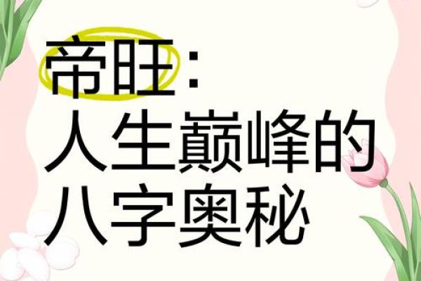 揭开易经奥秘，用生辰八字掌控人生走向