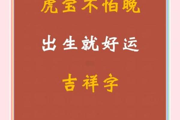 虎宝宝起名宝典：从传统到现代的名字选择
