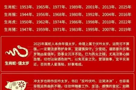 属蛇运势：感情与事业的平衡之道