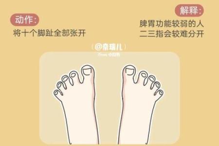 了解脚趾的名称及其功能，帮助你更好地护理双脚