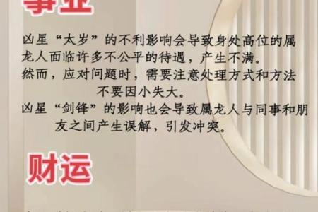 本命年属龙如何规划财务与未来