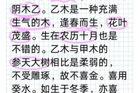 阴木阳命木命的奥秘解析与命理探讨