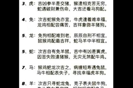 龙与马的婚姻契合度解析