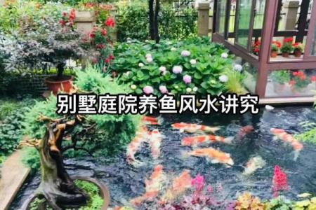提升自流井区家庭风水的关键设计原则