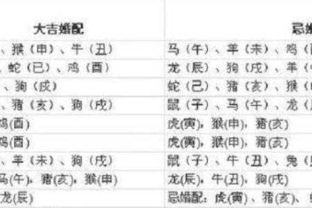 属猪女和属牛男的婚配性格与未来