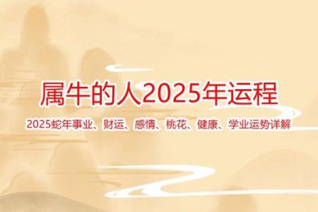 属牛人运势全解，生活与感情指南