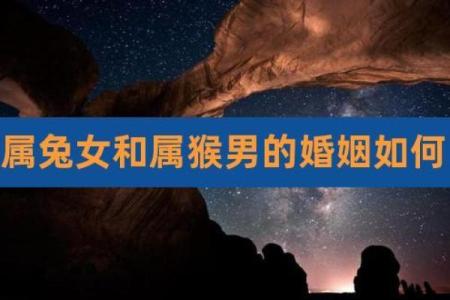 属猴与属兔的爱情运势如何
