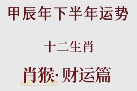 猴人运势全面分析：如何迎接转折年