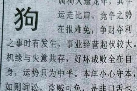 属狗人的每月运势报告：事业、爱情与健康全方位分析