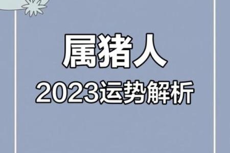 猪年运势大揭秘：如何在事业与感情中取得平衡