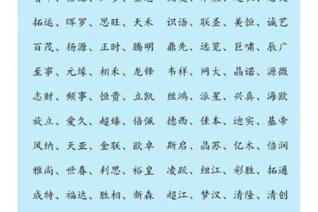 使用个人名字为公司命名的优势与注意事项