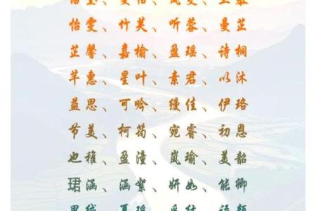 二字女生名字的独特寓意与选择技巧