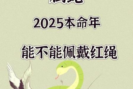 出生的蛇属什么五行解析
