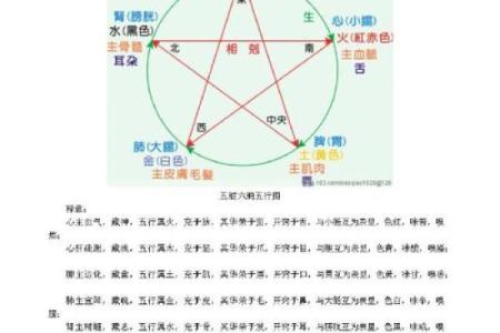 女命的命运走向与五行相生相克的关系