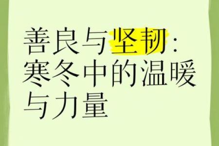 从暖暖的名字看生活中的温暖力量