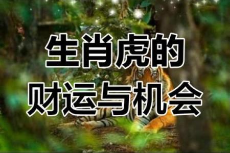 属虎运势全解析：财运、事业与感情的变化趋势