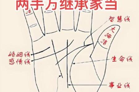 揭开易经奥秘，用生辰八字掌控人生走向