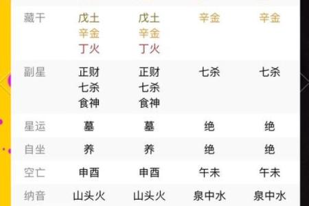 癸未命解析：探索天干地支中的独特命理特征