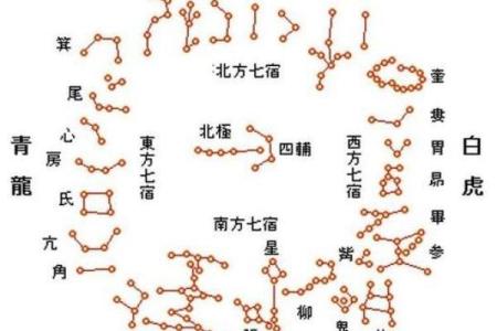 二十八星宿五行深度解析与应用技巧
