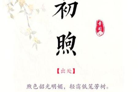 带明的名字：为孩子注入光明与智慧